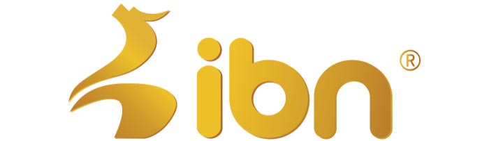 Image 2: IBN